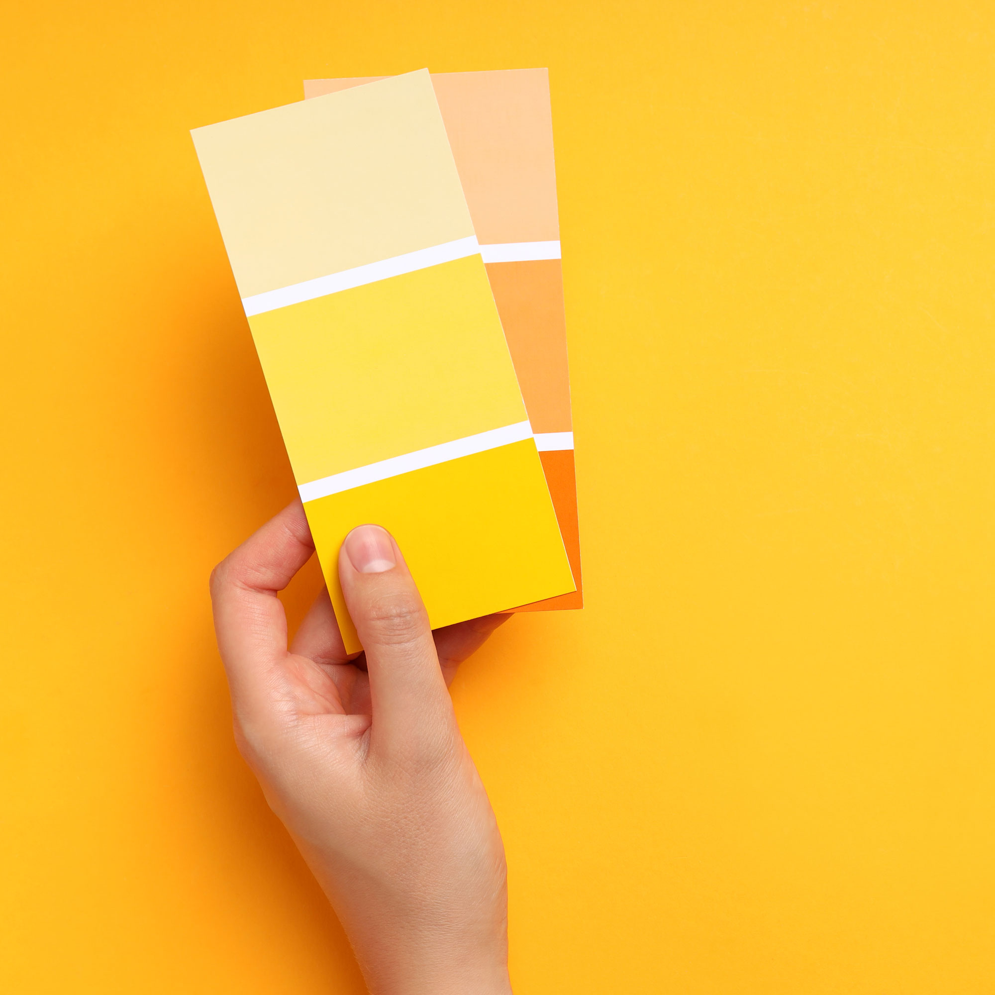 female-hand-holding-color-palettes-on-yellow-backg-2022-09-26-22-50-41-utc.jpg